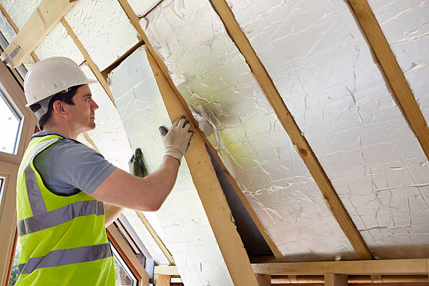 Best Insulation for New Construction  in Mount Pocono, PA