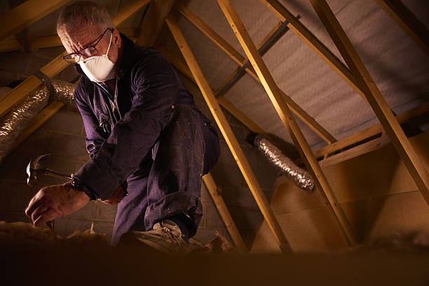 Best Energy-efficient Insulation  in Mount Pocono, PA