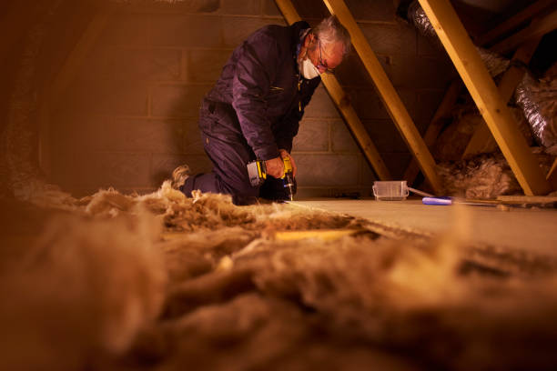 Best Professional Insulation Contractor  in Mount Pocono, PA