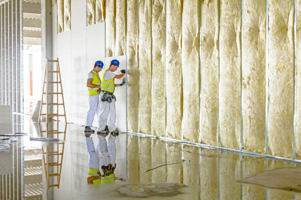 Best Energy-efficient Insulation  in Mount Pocono, PA